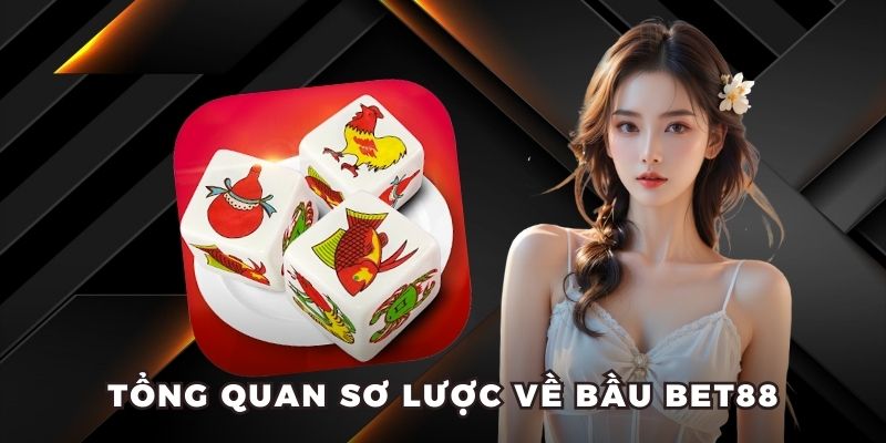 Tổng quan sơ lược về bầu BET88