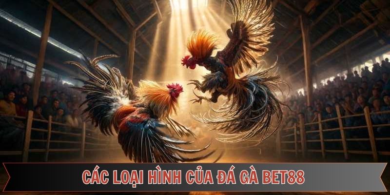 Tổng hợp một số loại hình đá gà bet88 phổ biến