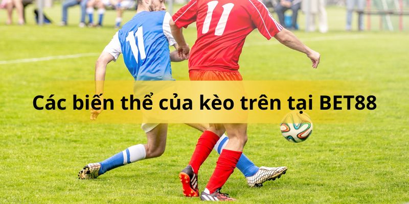 Kèo châu Á là hình thức cược phổ biến nhất khi xét đến kèo trên