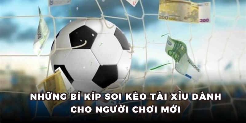 Những bí kíp soi kèo tài xỉu dành cho người chơi mới