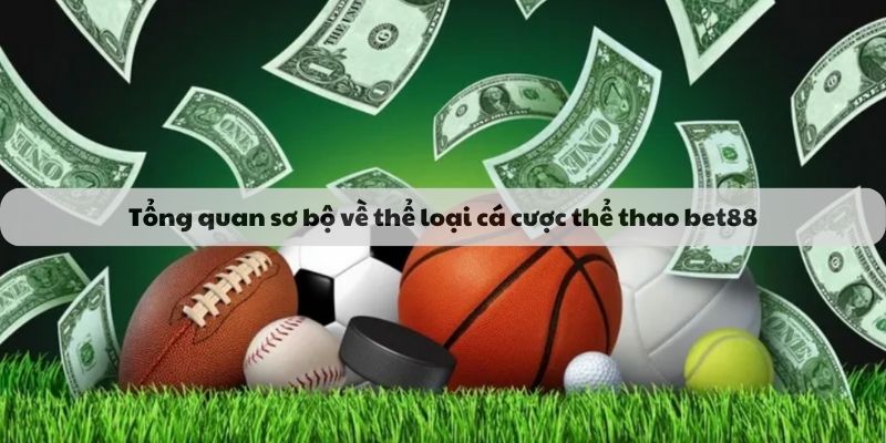 Sảnh chơi thể thao tại Bet88 được đánh giá cao về tính an toàn, đa dạng